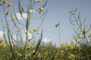 Zničené zemědělské stroje i virtuální realita přiblíží dopady války na Ukrajině